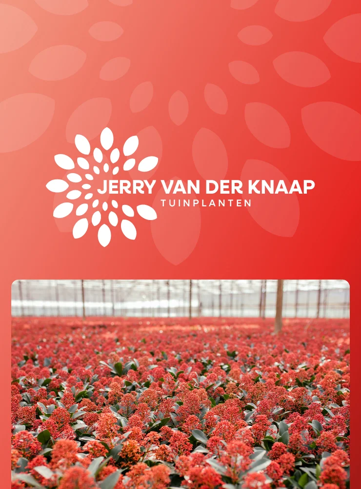 Jerry van der Knaap