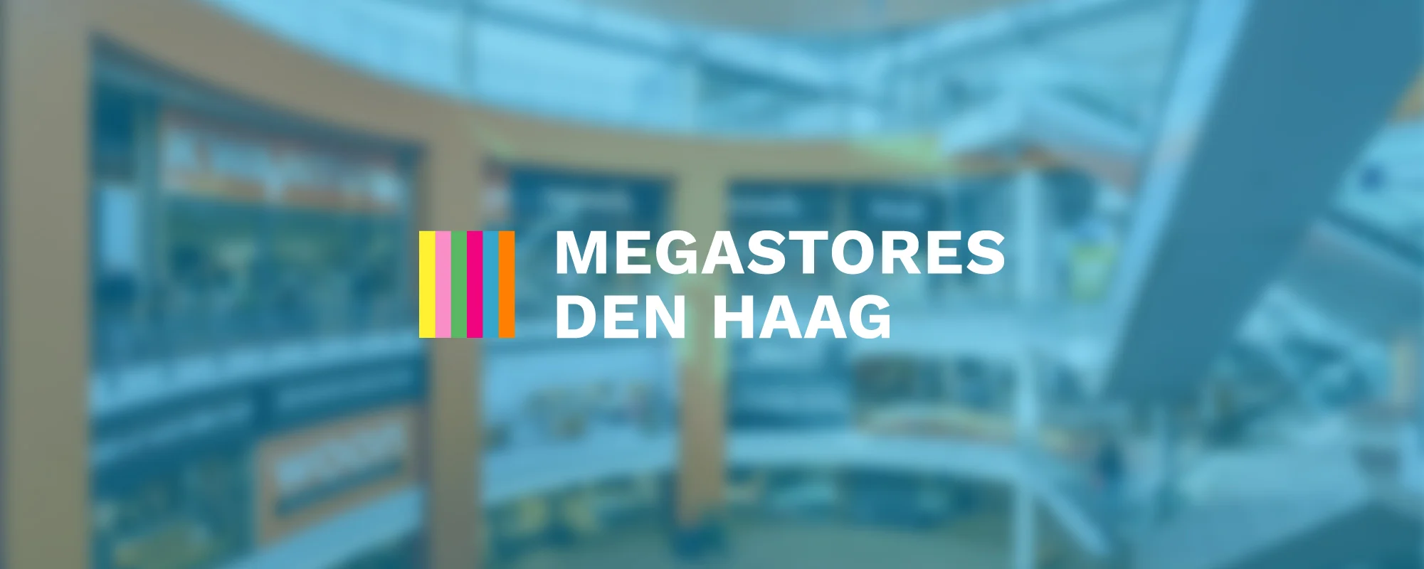 Foto Team Studio MVP