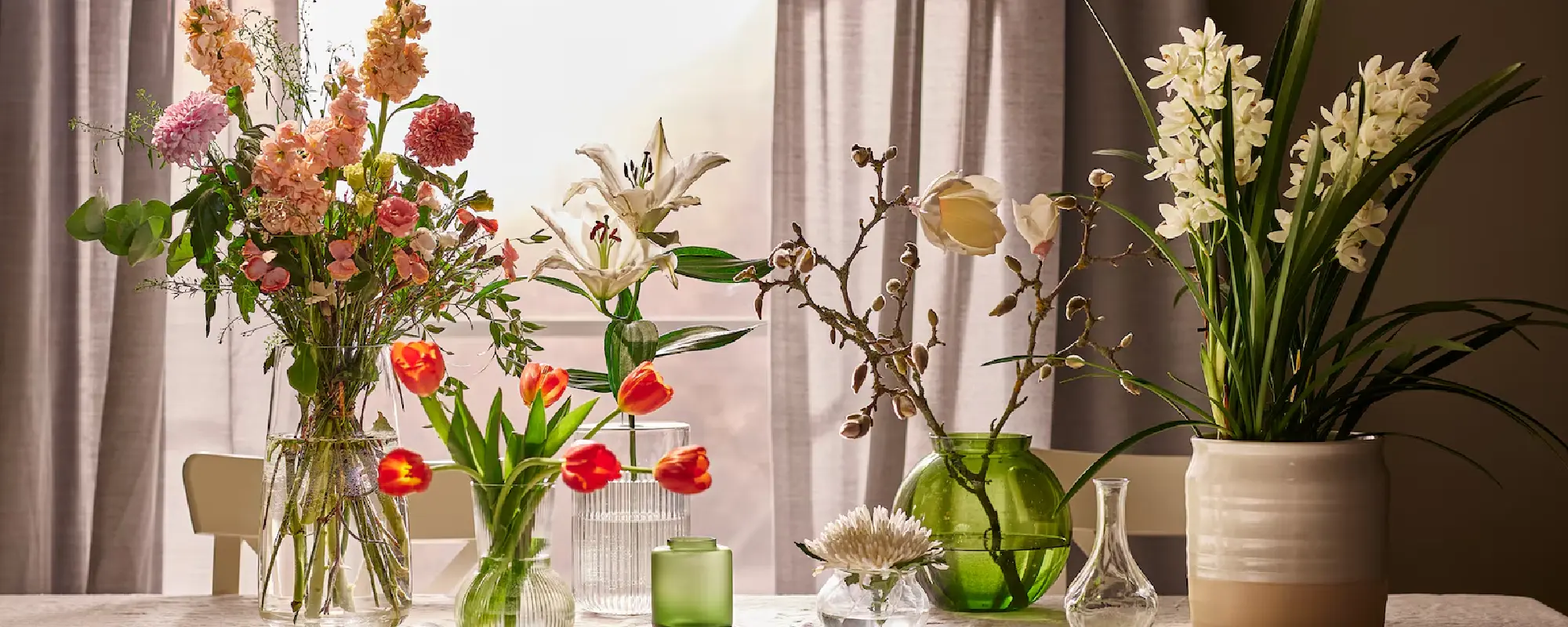 Foto Team Studio MVP