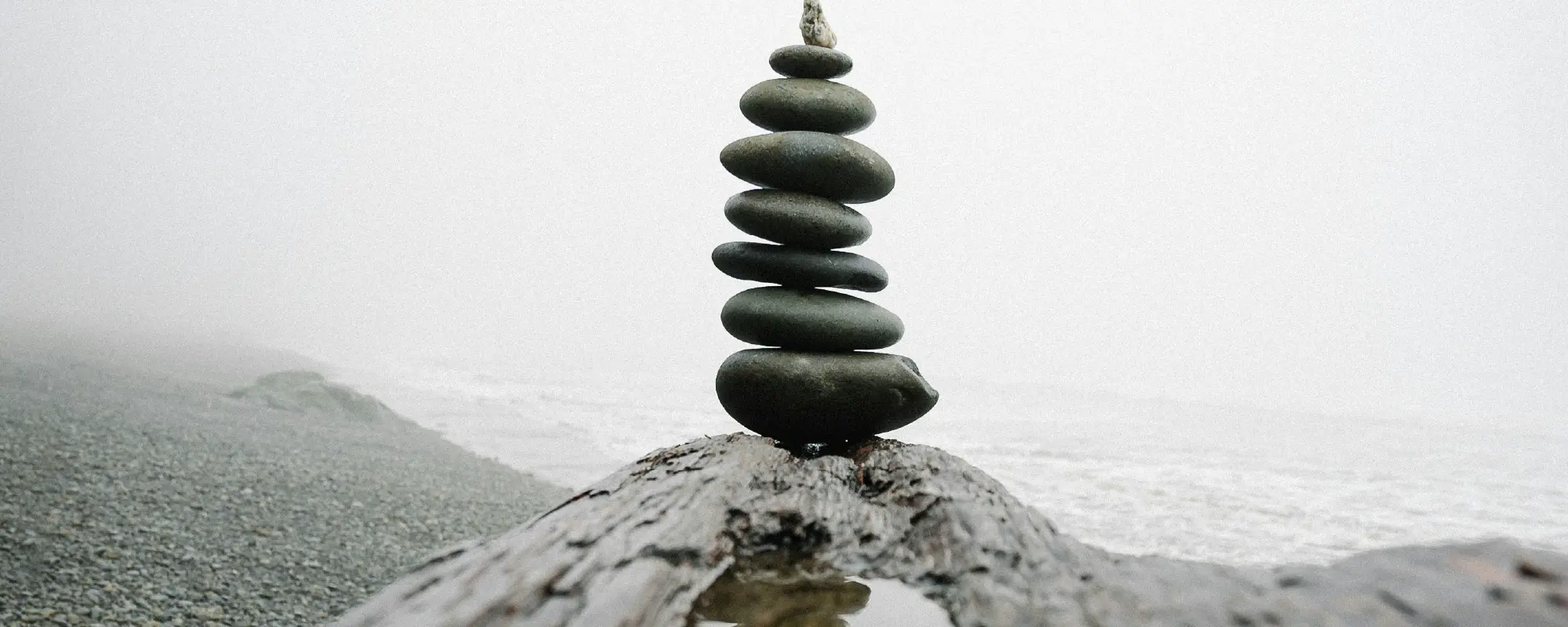 Foto Team Studio MVP