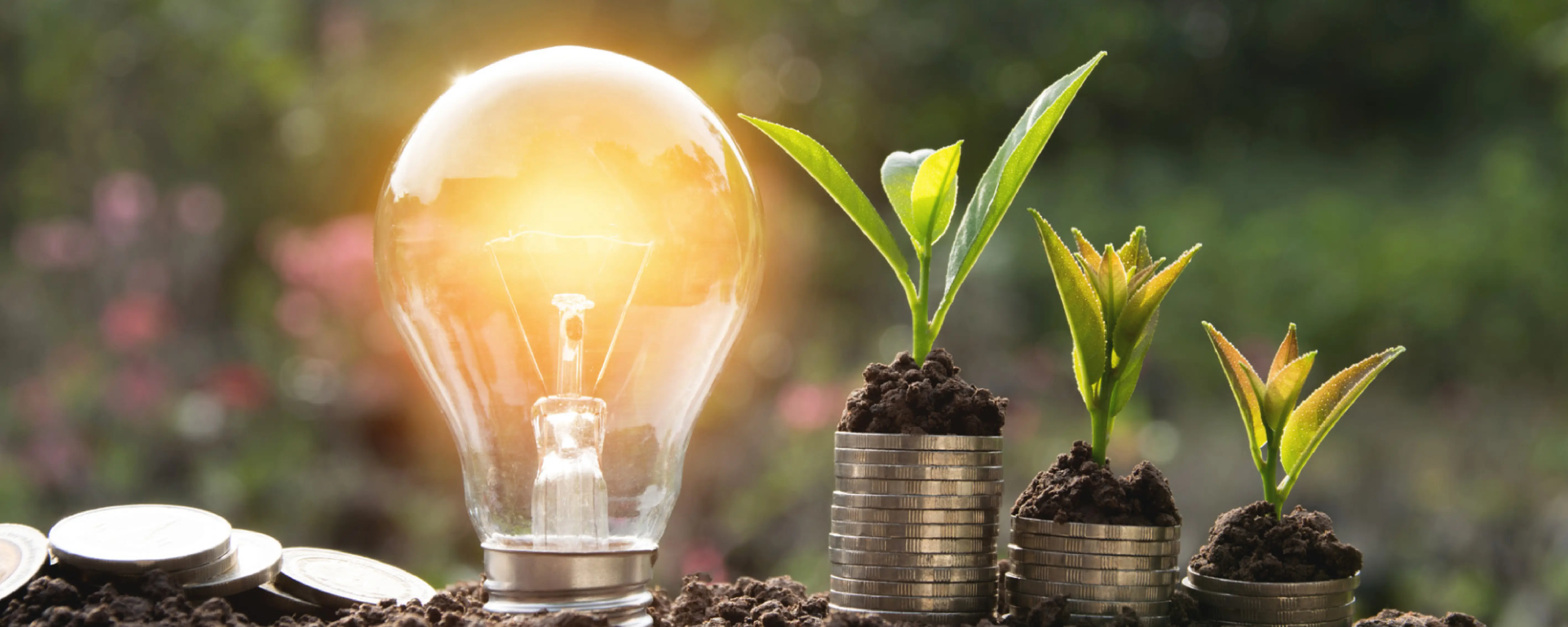 Foto Team Studio MVP