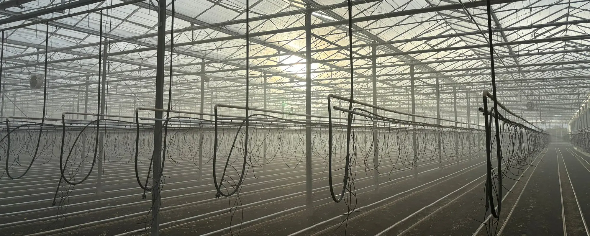 Foto Team Studio MVP