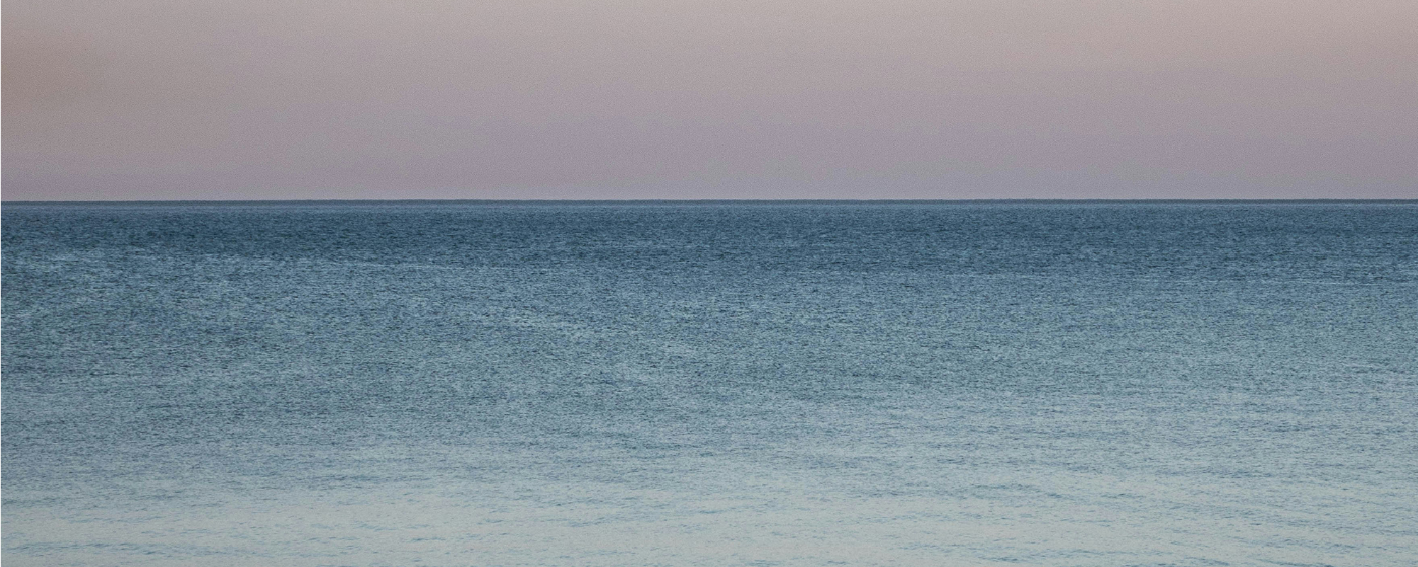 Foto Team Studio MVP