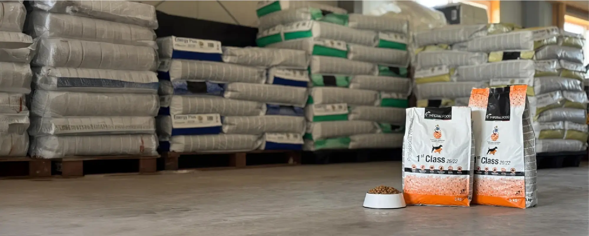 Foto Team Studio MVP