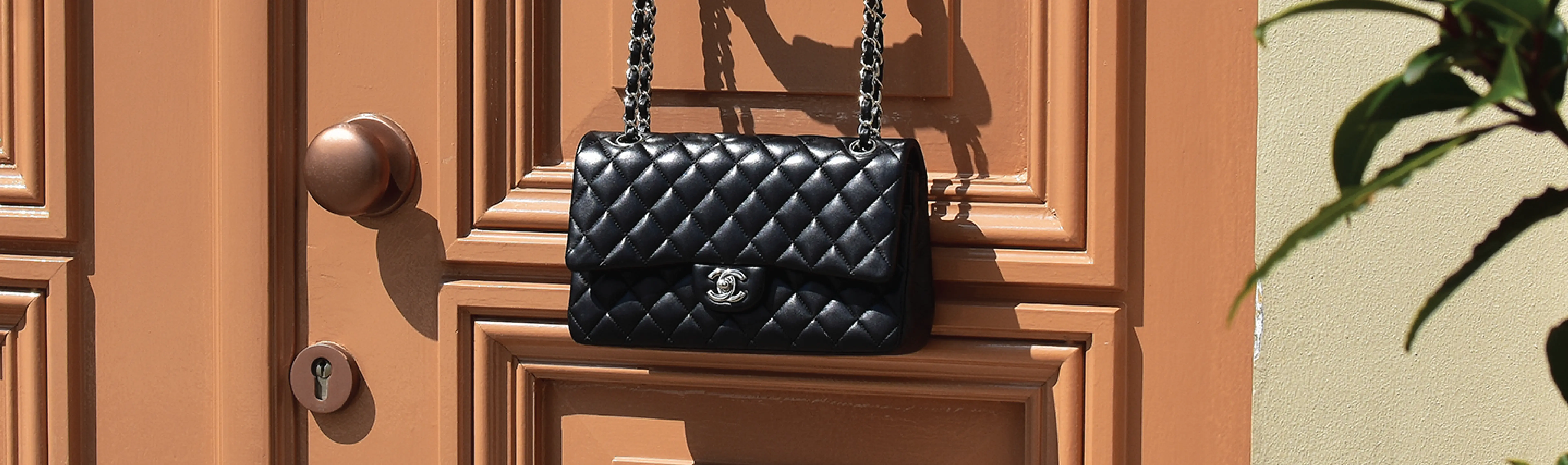 Foto Team Studio MVP