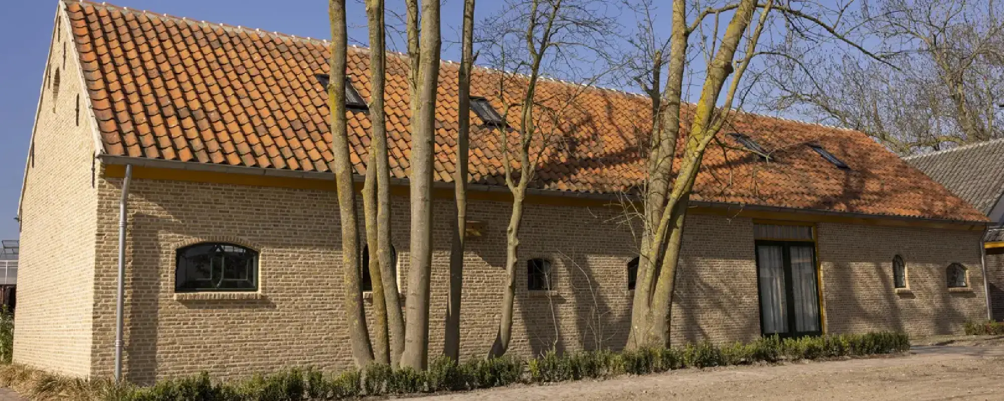 Foto Team Studio MVP