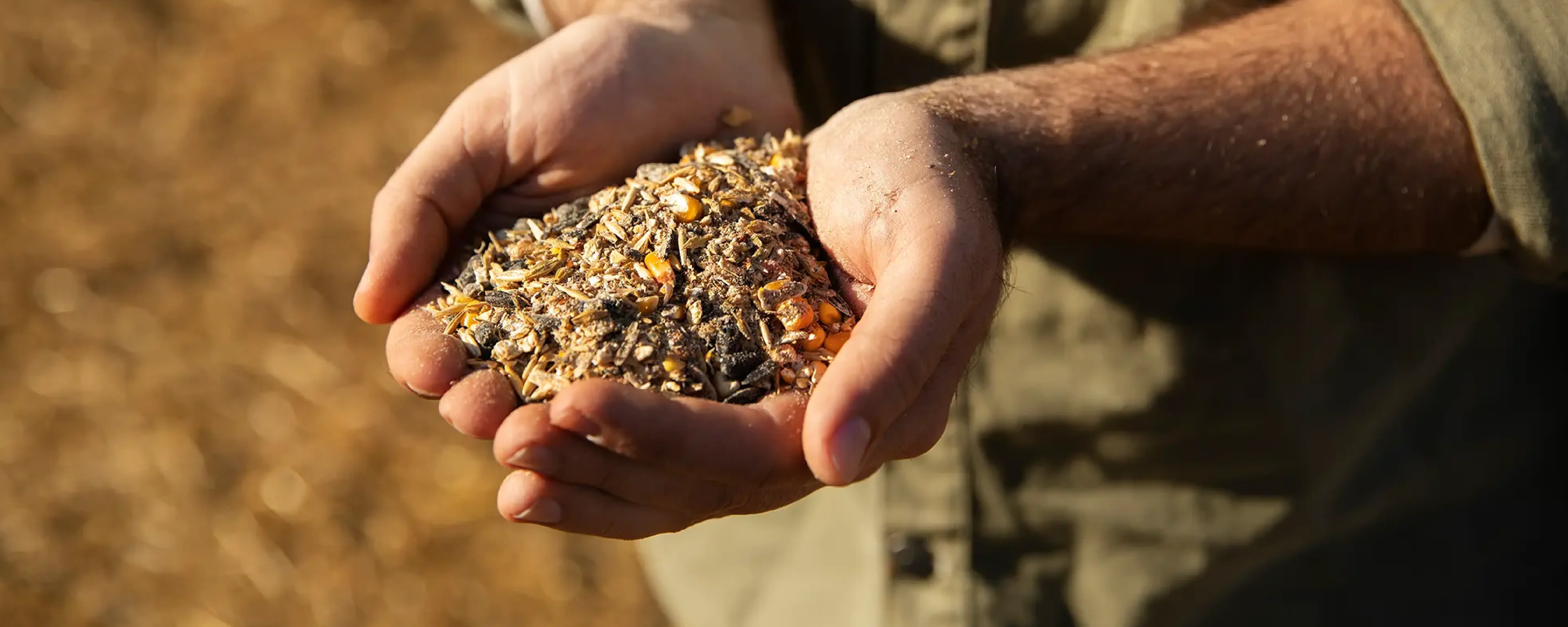 Foto Team Studio MVP