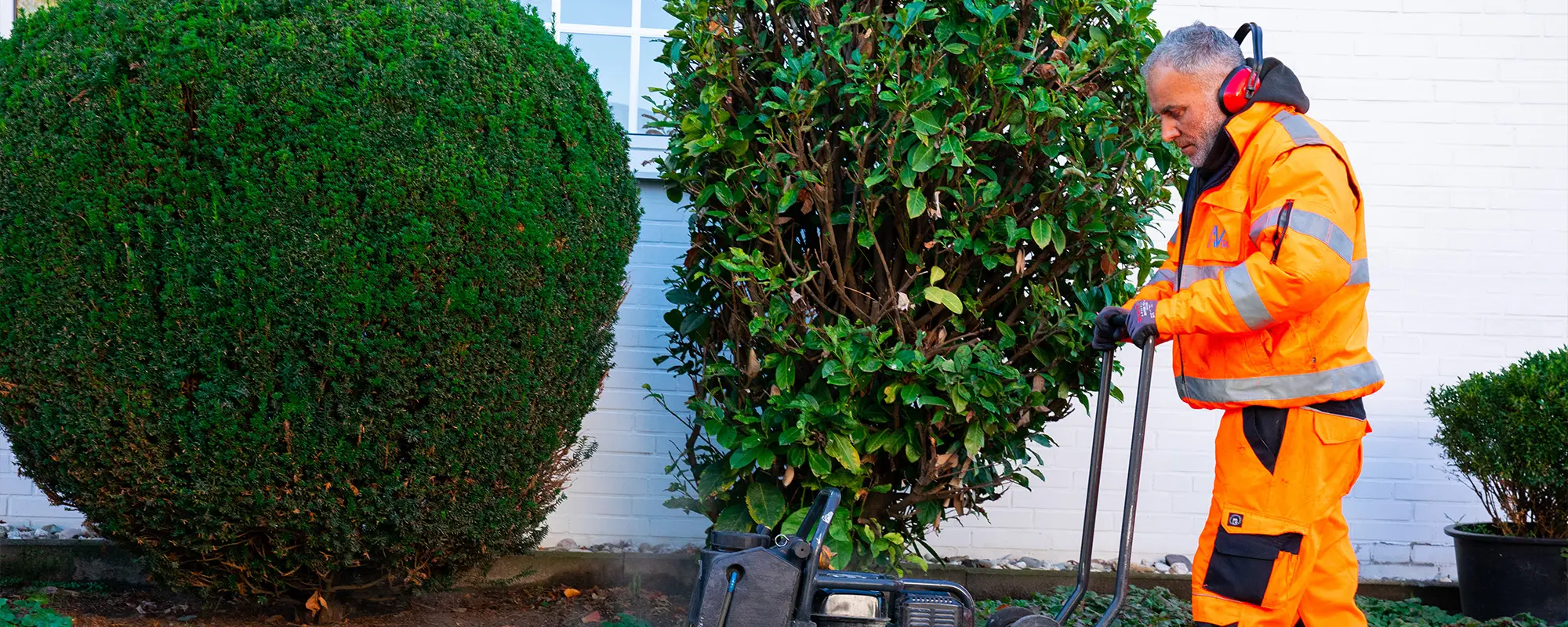 Foto Team Studio MVP