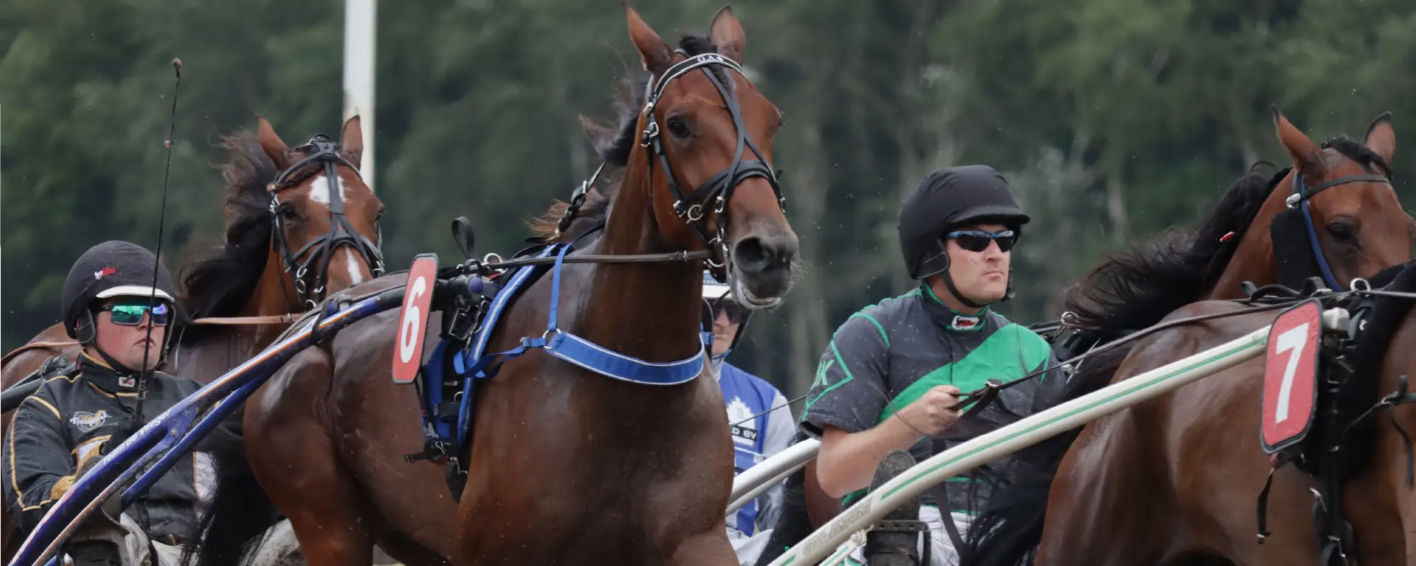 Foto Team Studio MVP