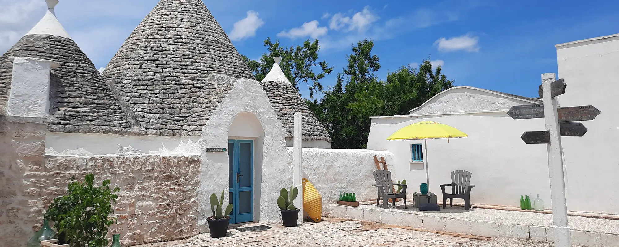 Foto Team Studio MVP