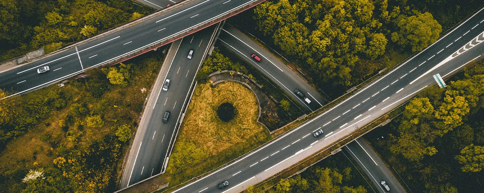 Foto Team Studio MVP