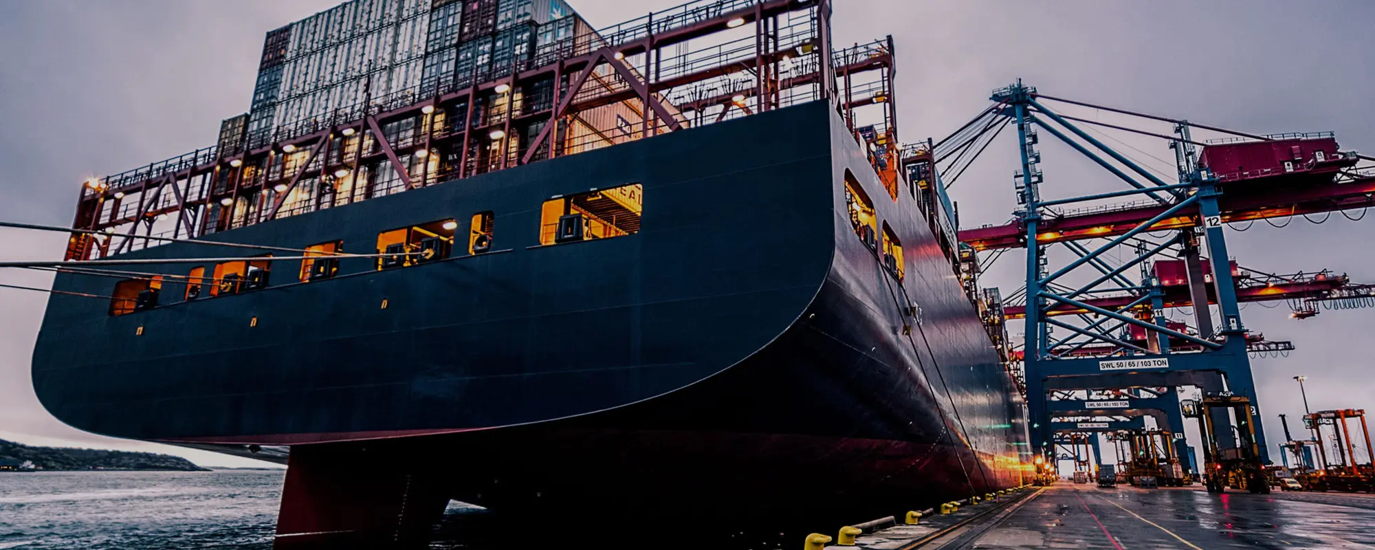 Foto Team Studio MVP