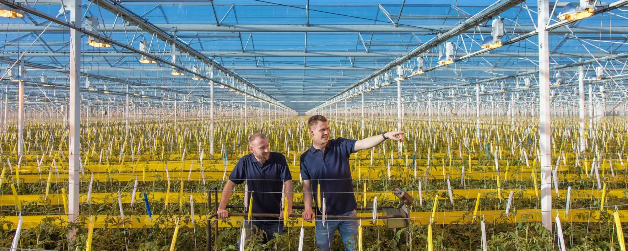 Foto Team Studio MVP