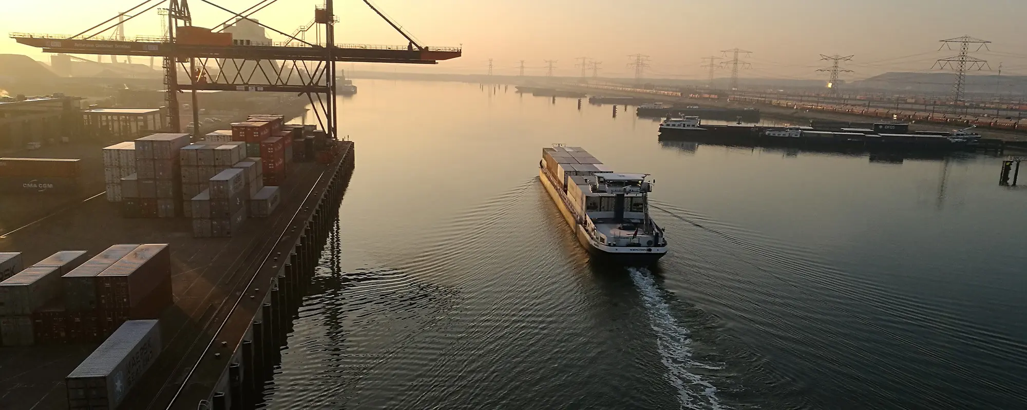 Foto Team Studio MVP