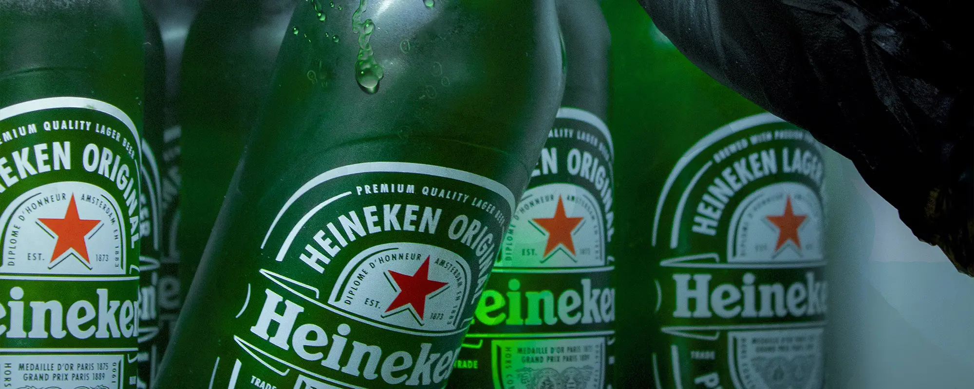 Foto Team Studio MVP