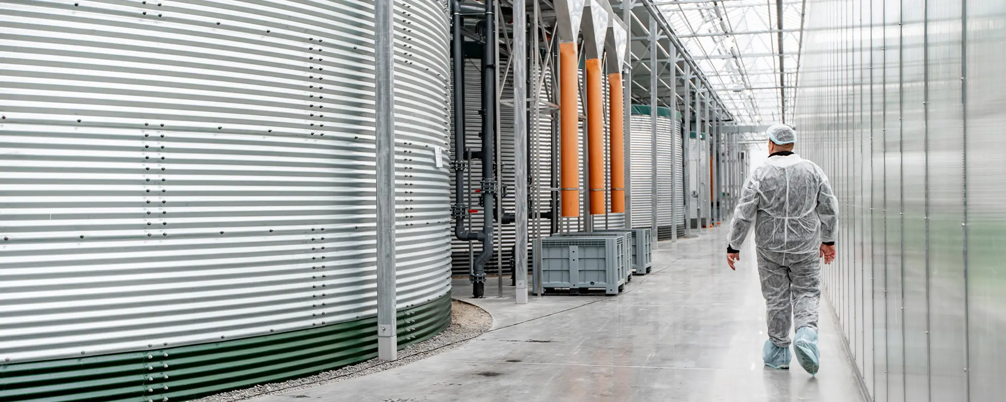 Foto Team Studio MVP