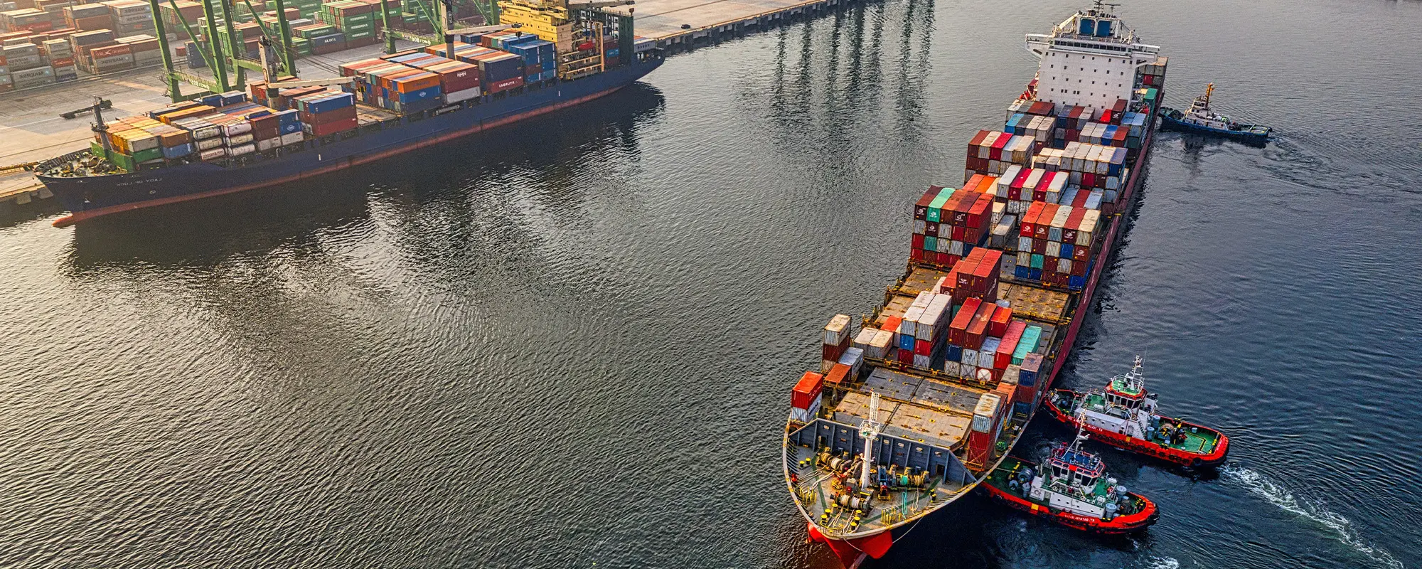 Foto Team Studio MVP