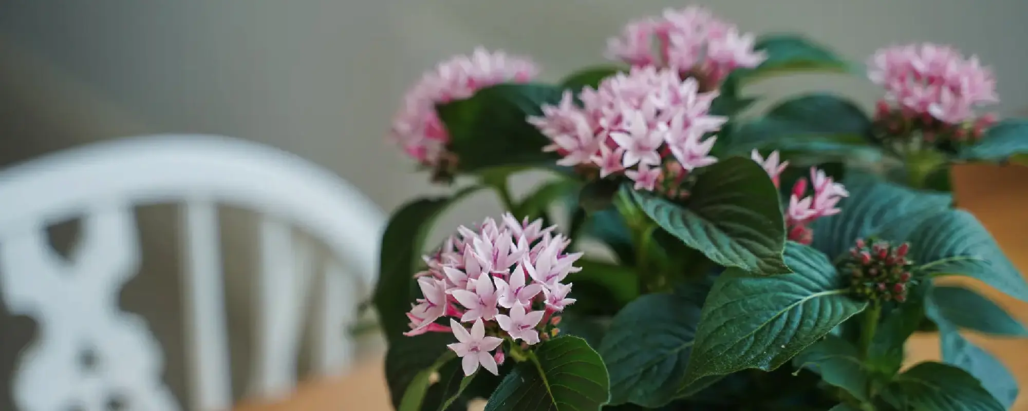 Foto Team Studio MVP