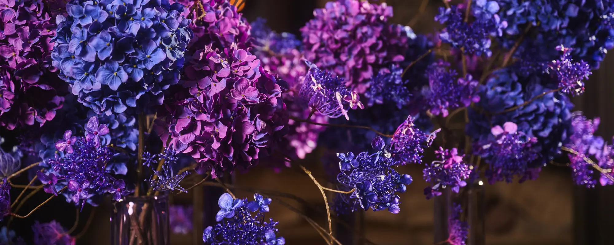 Foto Team Studio MVP