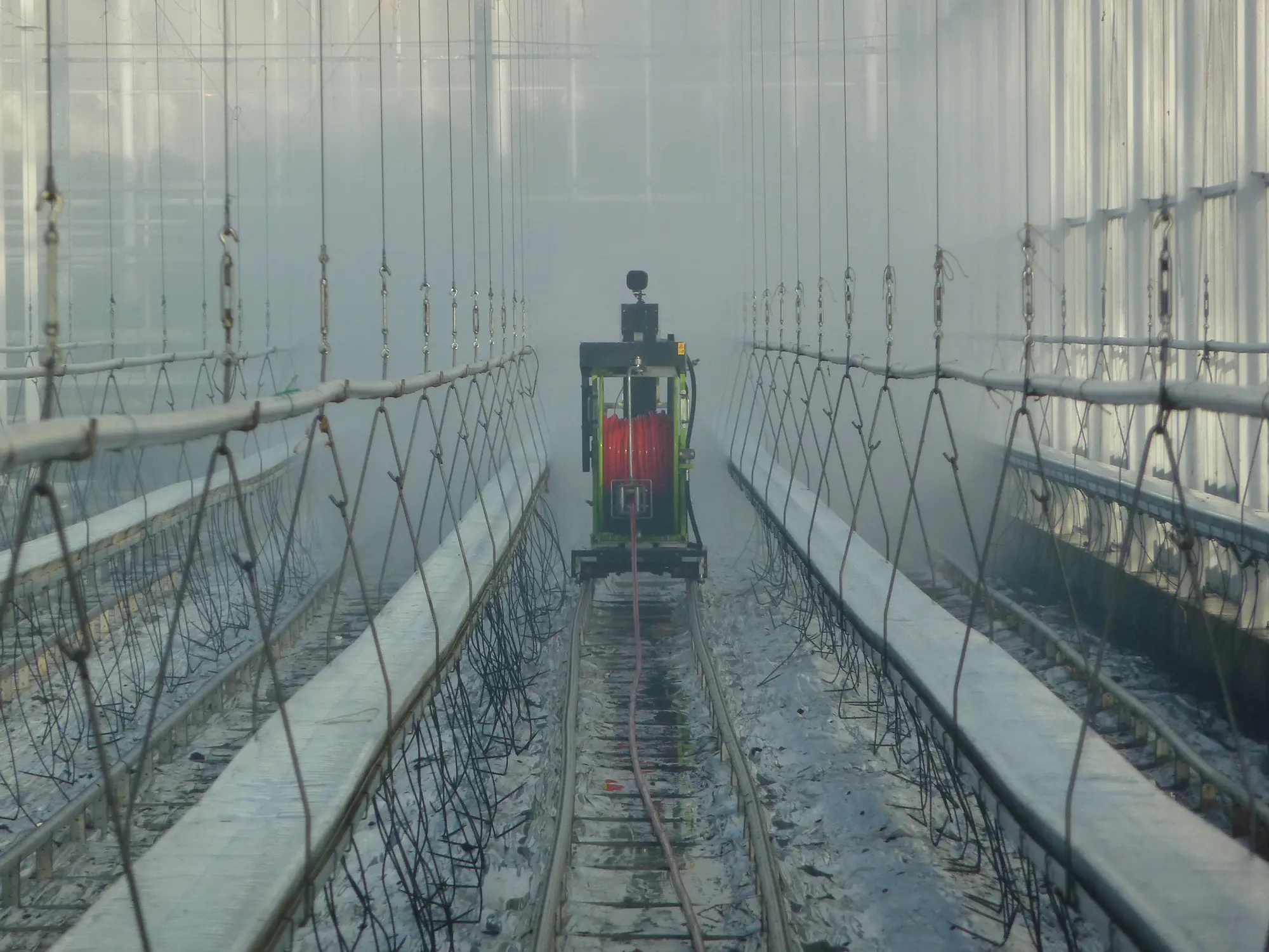 Foto Team Studio MVP