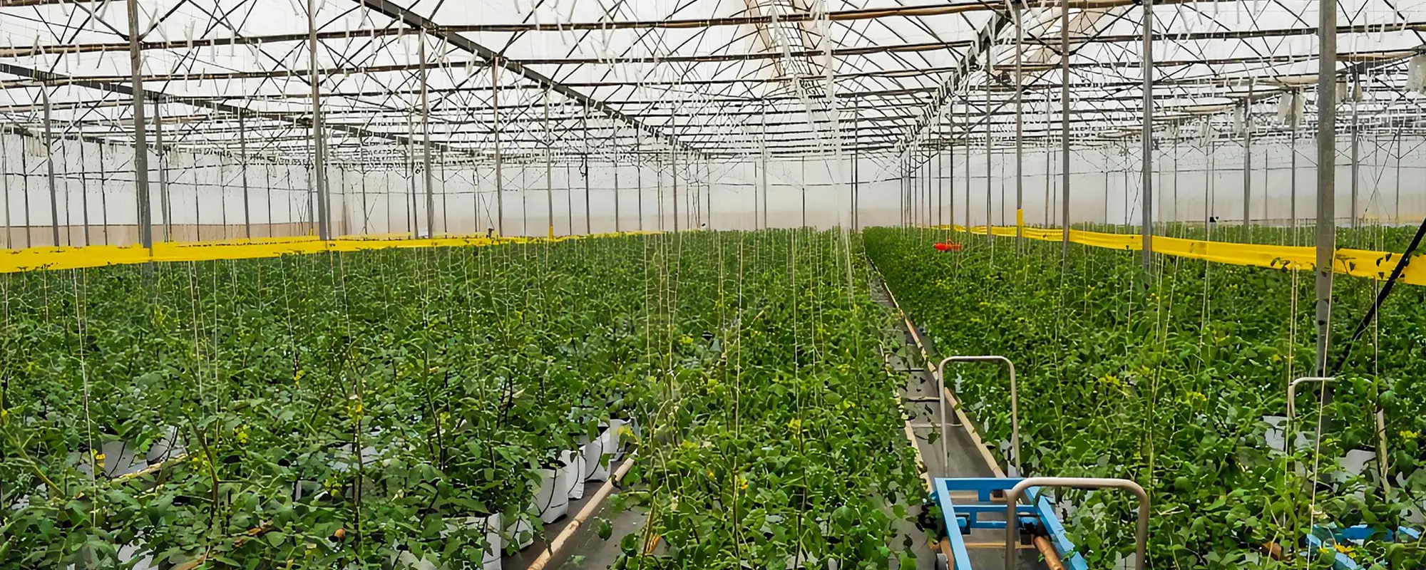 Foto Team Studio MVP