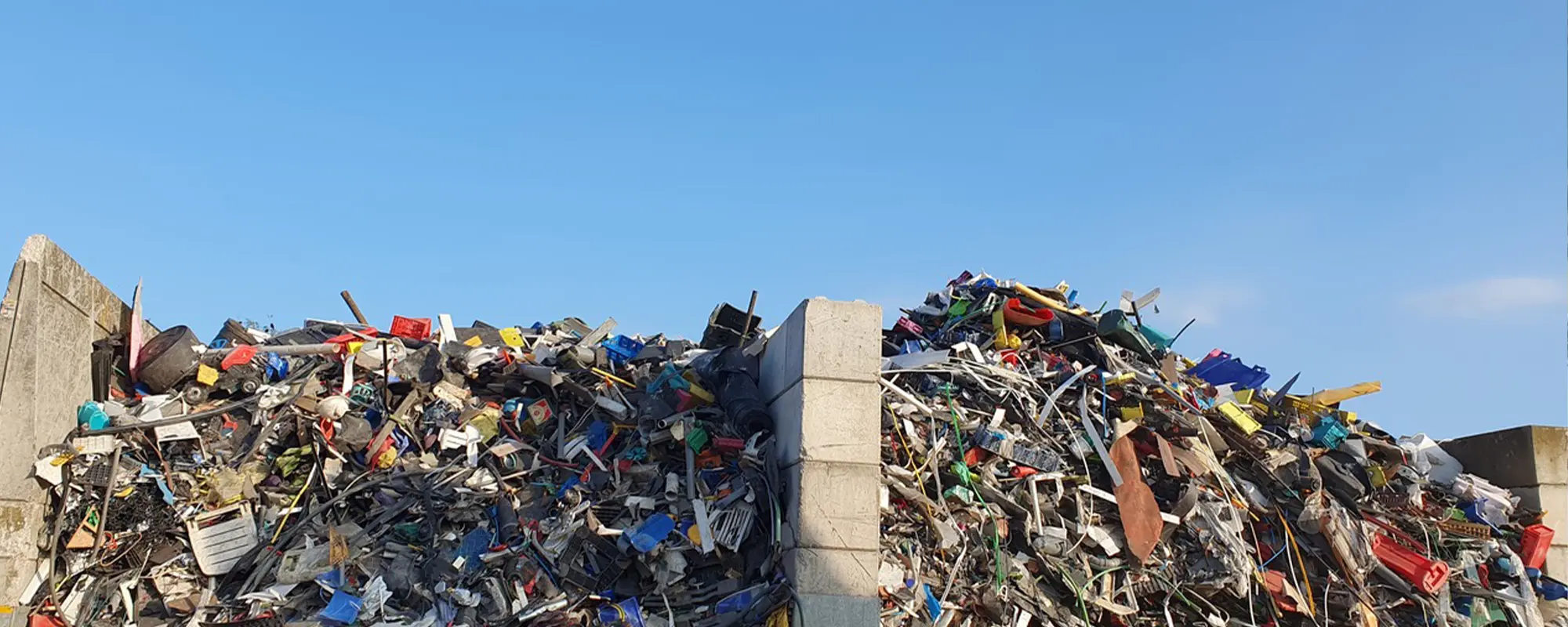 Foto Team Studio MVP