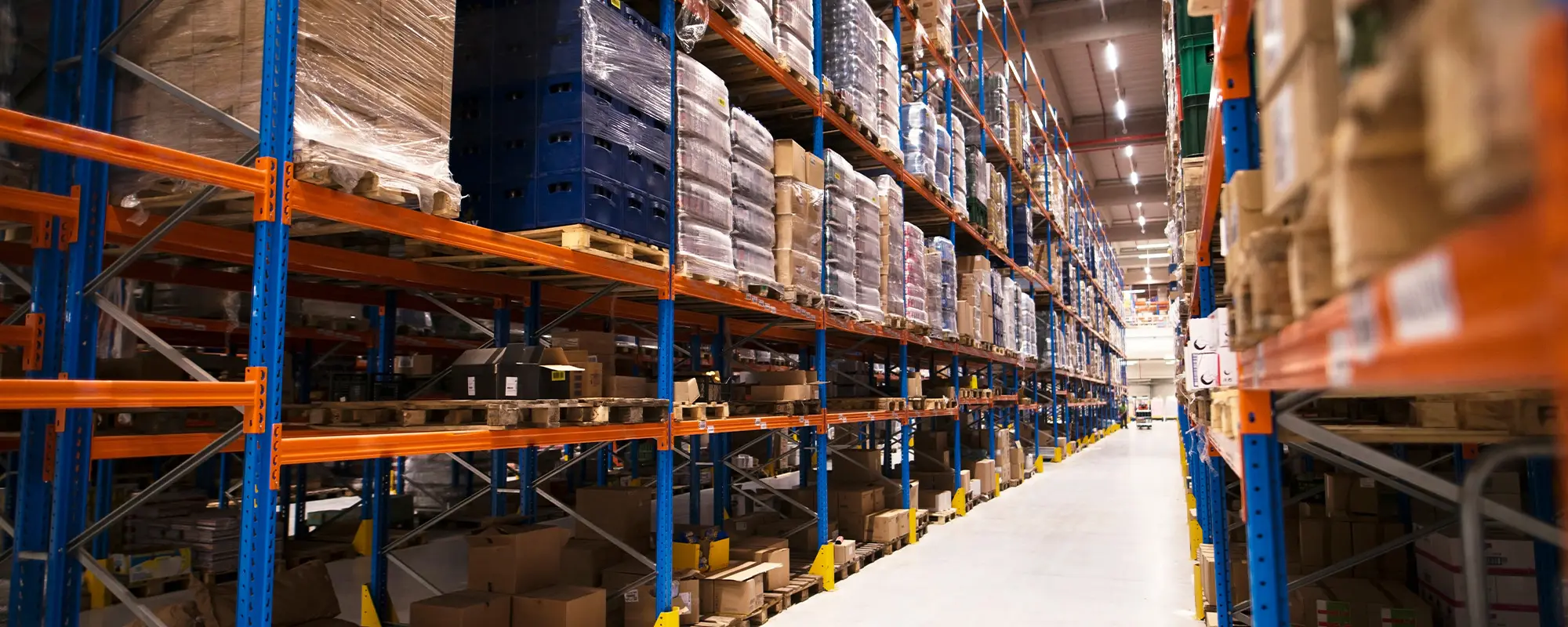 Foto Team Studio MVP