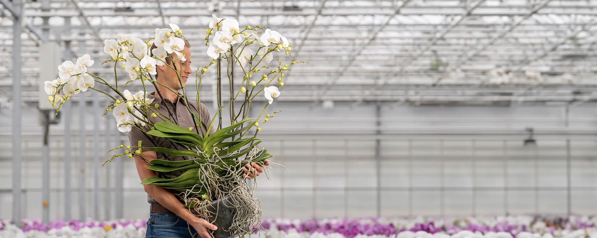 Foto Team Studio MVP