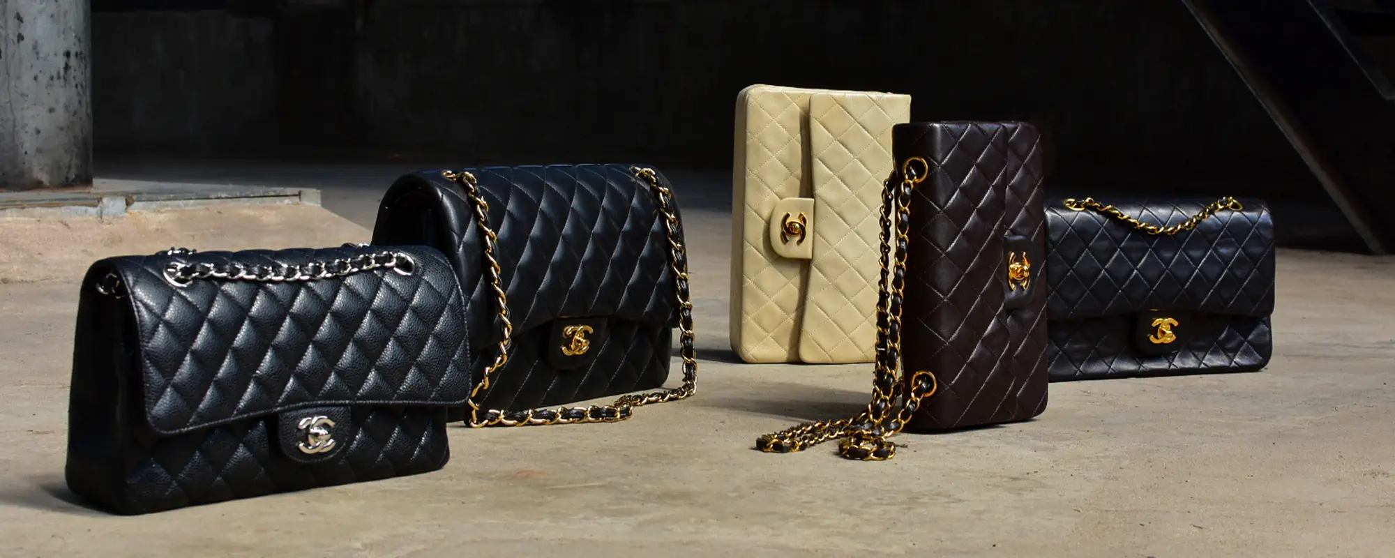 Foto Team Studio MVP