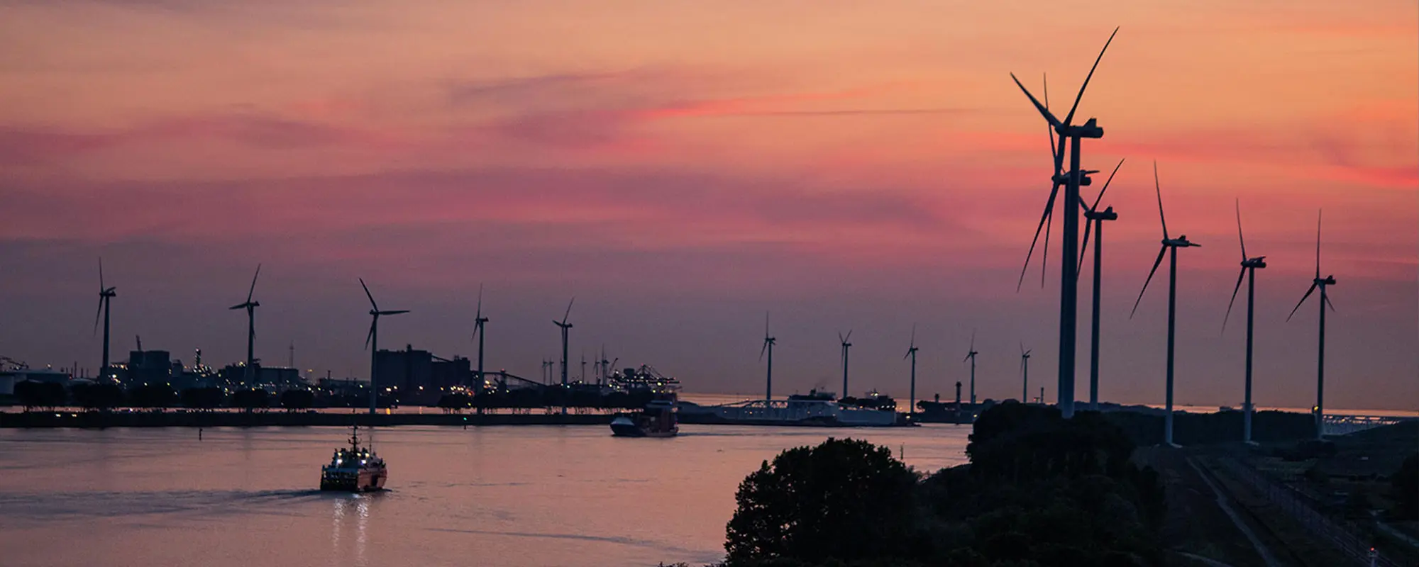 Foto Team Studio MVP