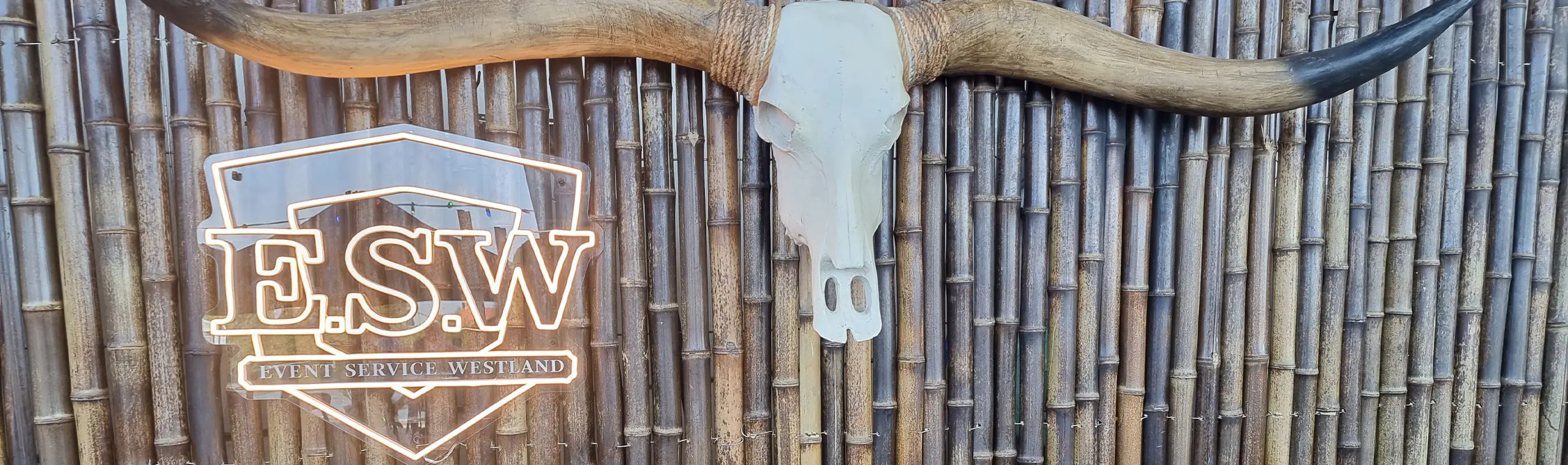 Foto Team Studio MVP