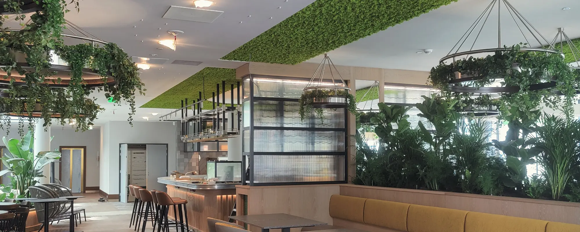 Foto Team Studio MVP