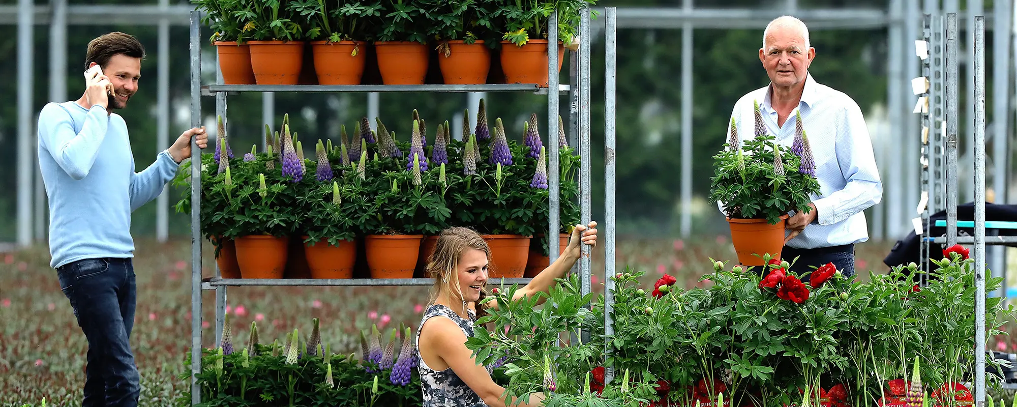 Foto Team Studio MVP