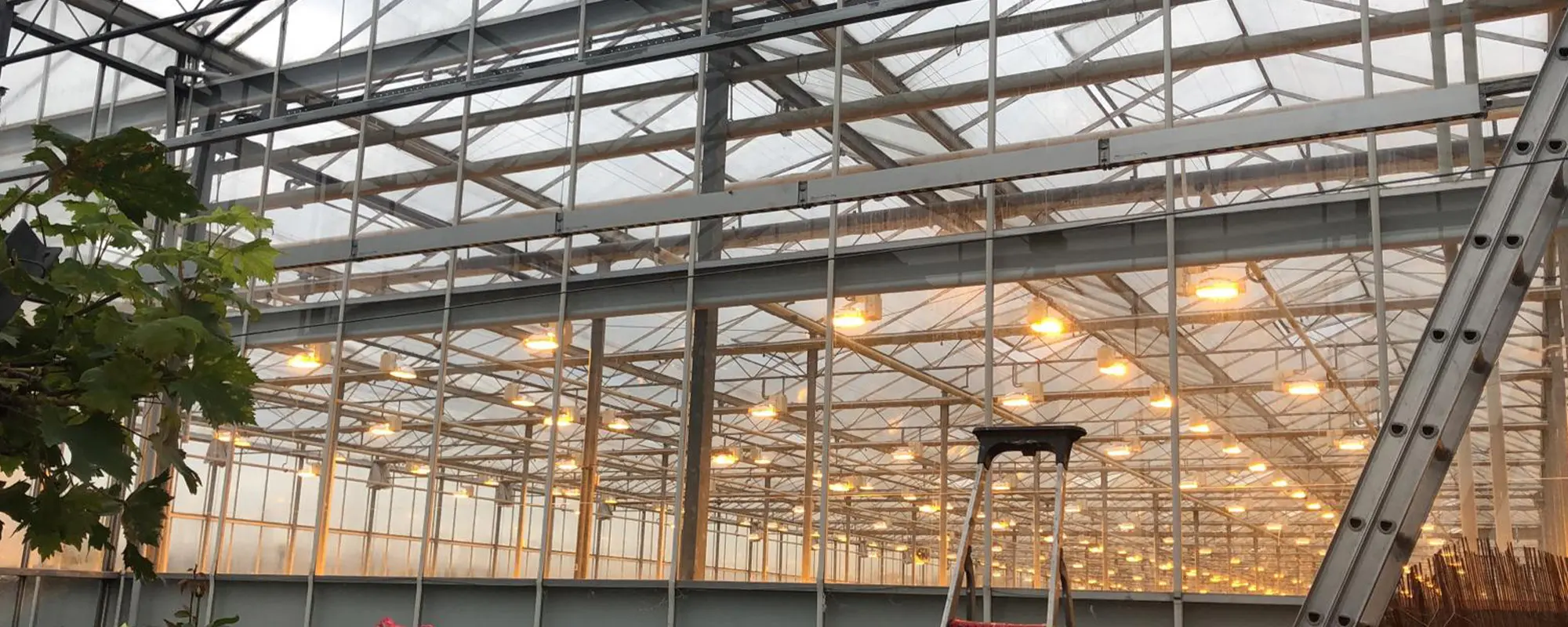 Foto Team Studio MVP