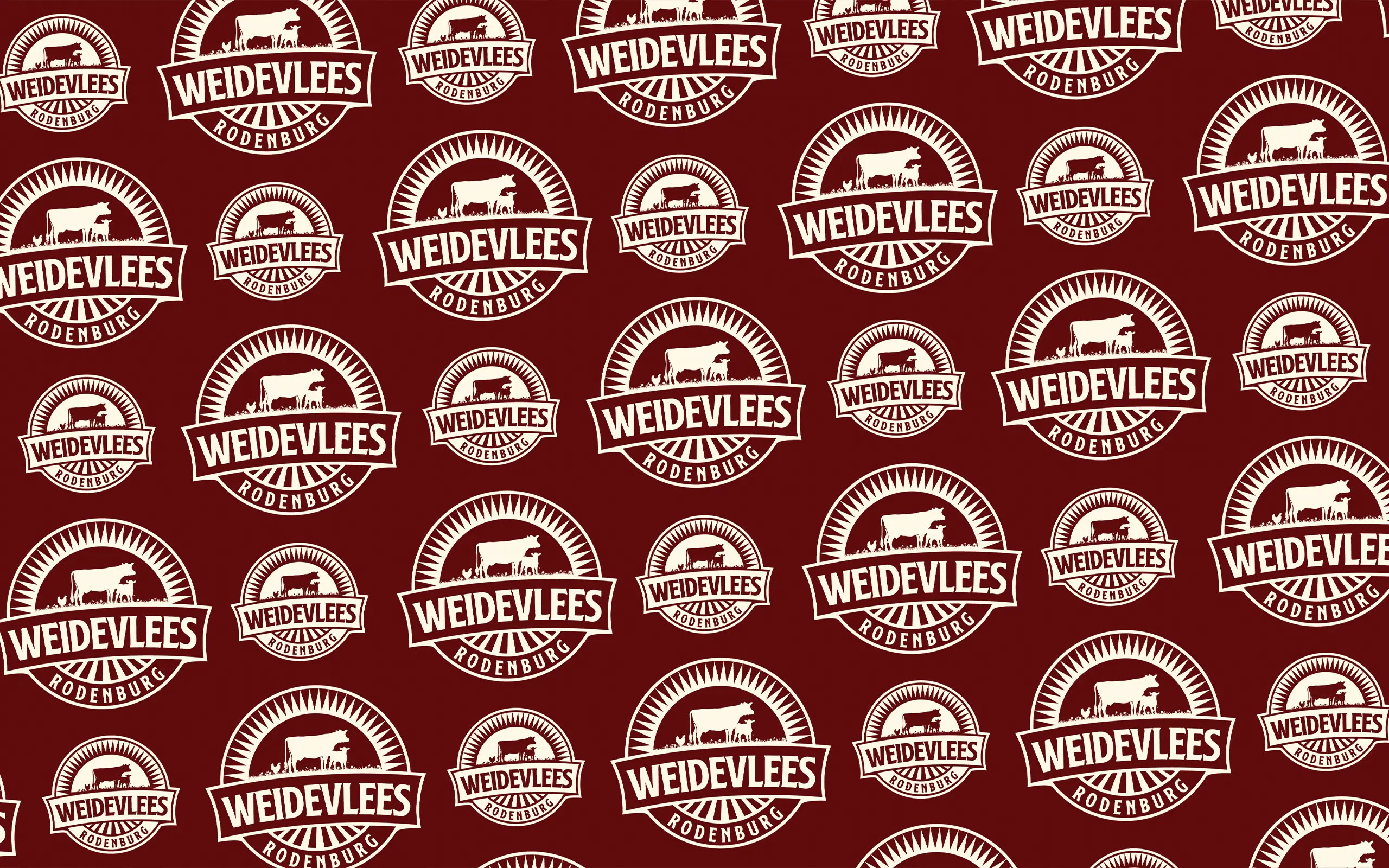 Foto Team Studio MVP