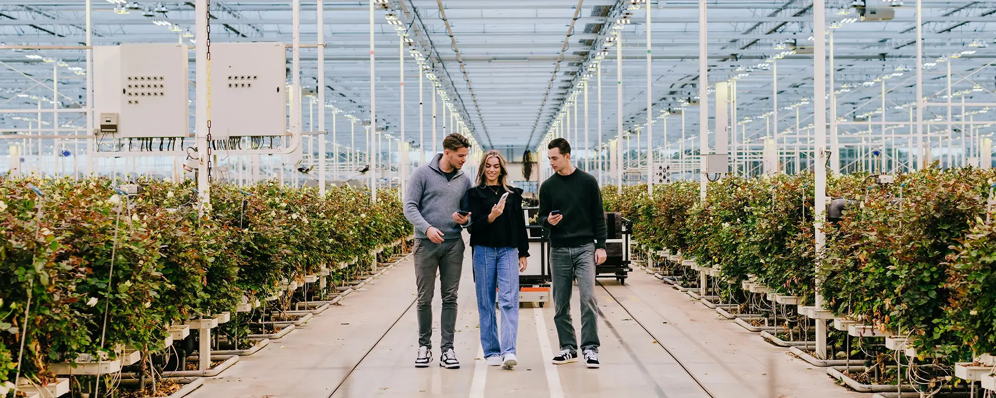 Foto Team Studio MVP