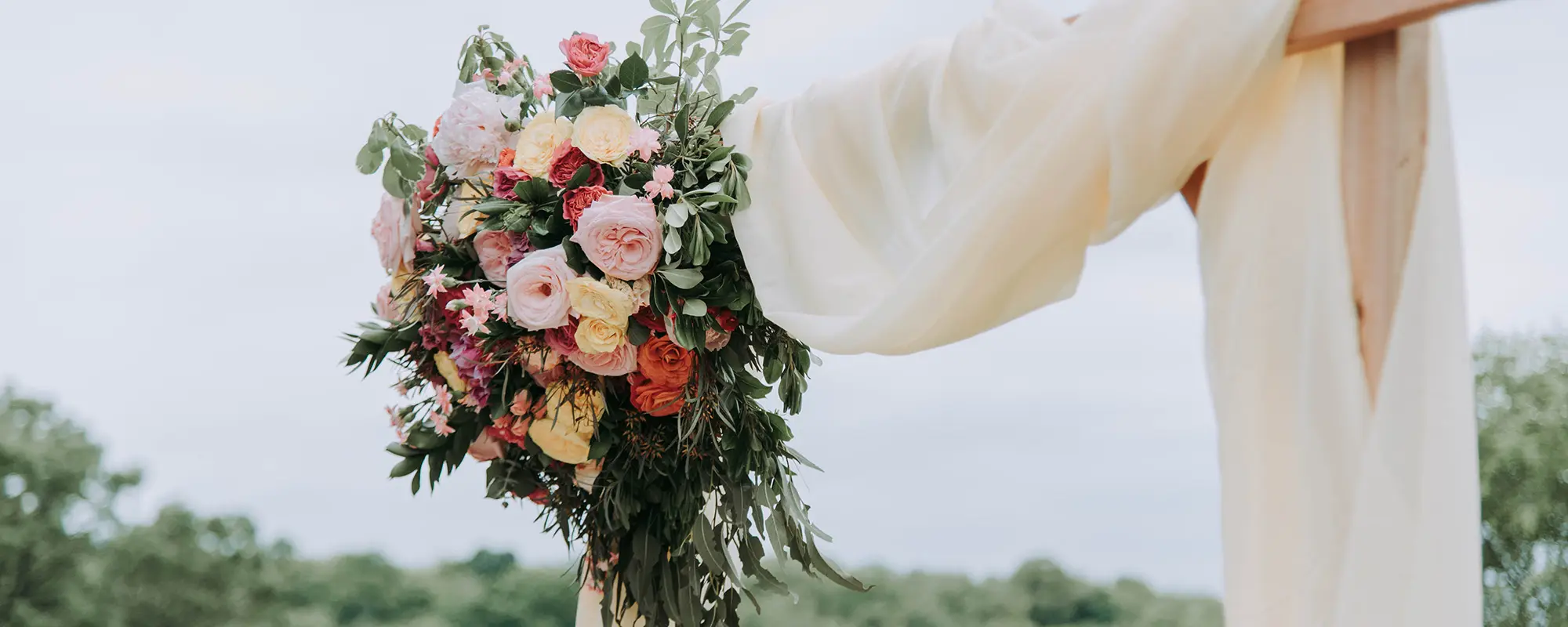 Foto Team Studio MVP