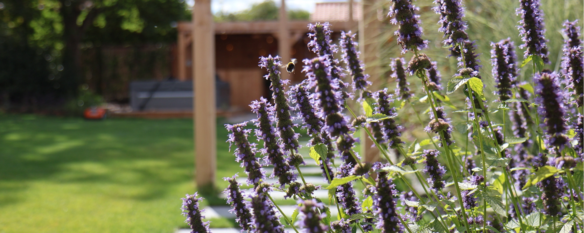 Foto Team Studio MVP