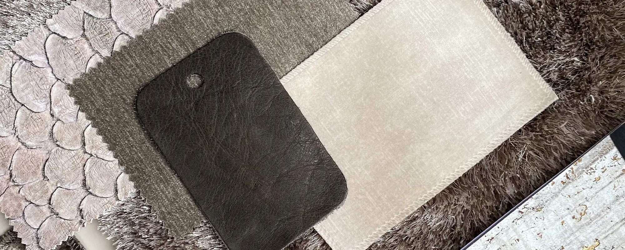 Foto Team Studio MVP