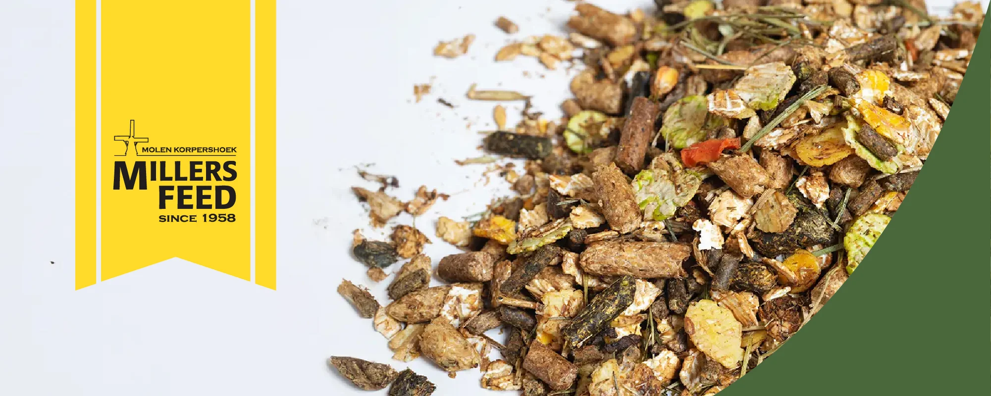 Foto Team Studio MVP